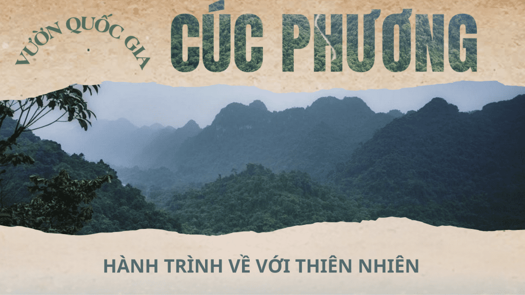 rung Cuc Phuong
